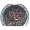 картинка Консервы из личинок мучного червя от магазина товаров для экзотических животных
