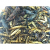 картинка Смесь из 3 видов сублимированных насекомых  от магазина товаров для экзотических животных